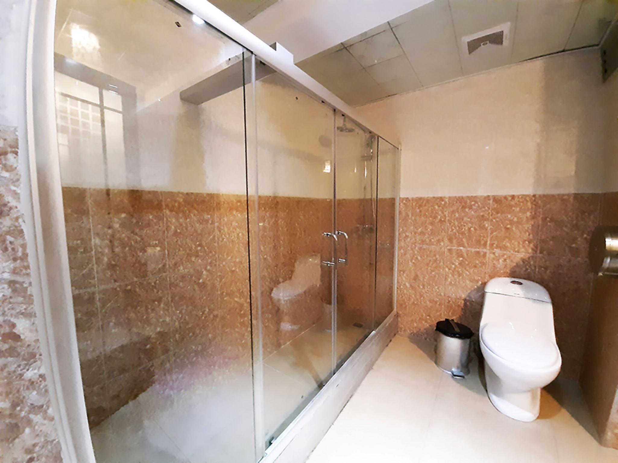 Hotel Swan 3*