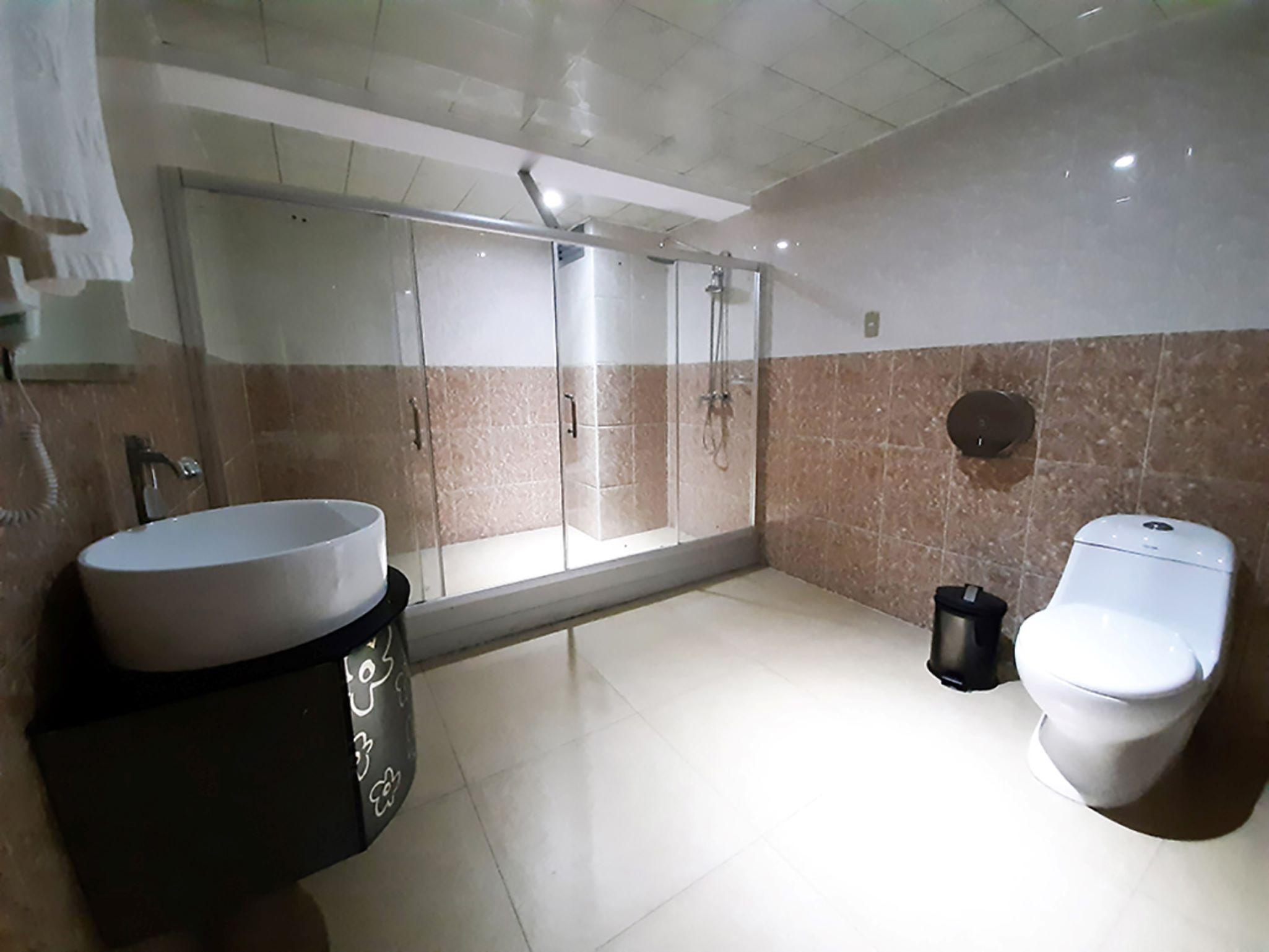 Swan Hotel 3*