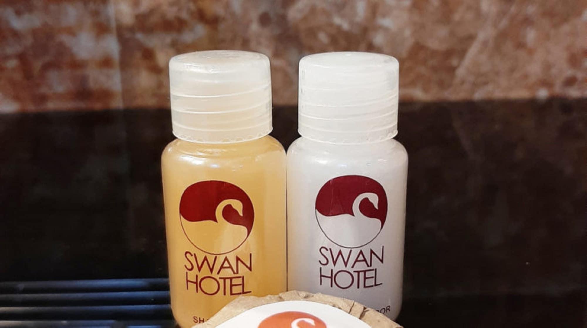 Hotel Swan 3*