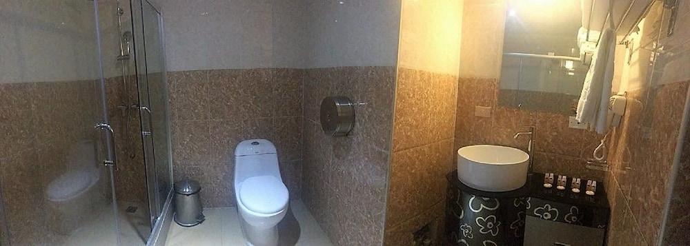 Swan Hotel 3*